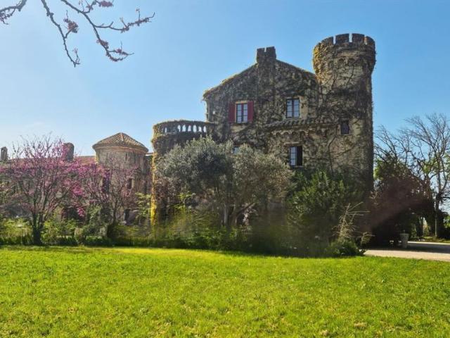 Prestigieux château de 580 m2 en vente Avignon, France