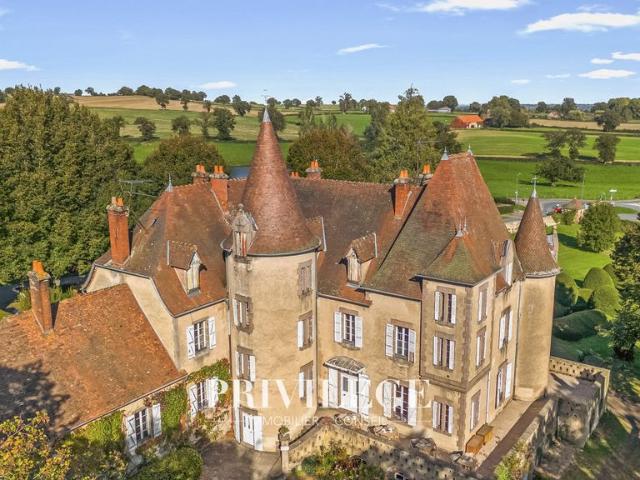Prestigieux château de 530 m2 en vente Vichy, France