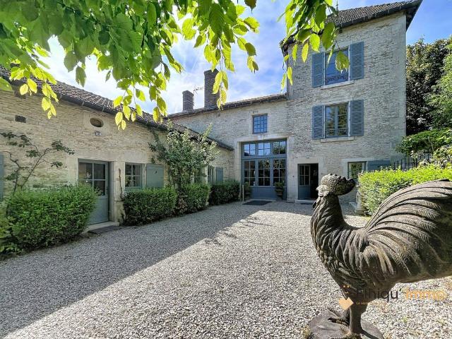 Prestigieux château de 616 m2 en vente Colombey les Deux Églises, France