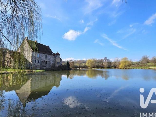 Prestigieux château de 630 m2 en vente Viévy, France