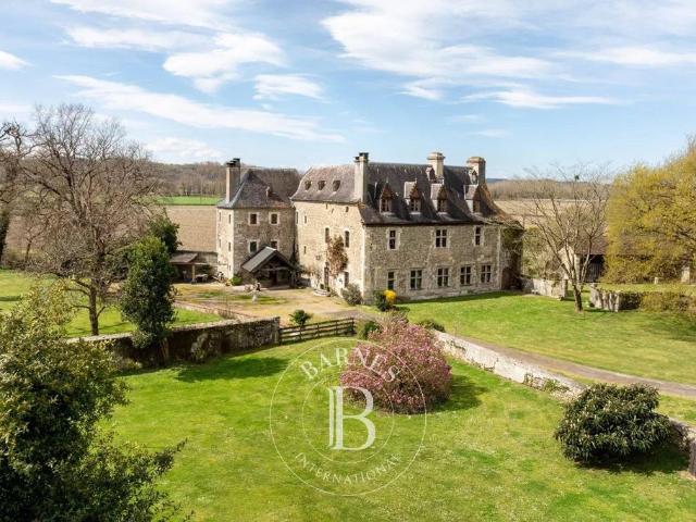 Prestigieux château de 734 m2 en vente Orthez, France