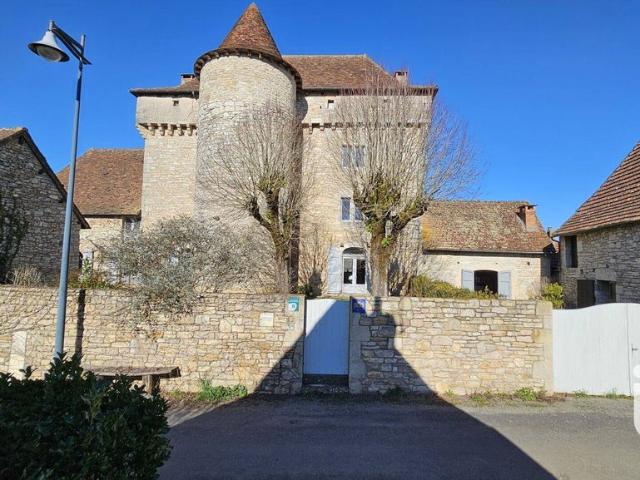 Prestigieux château en vente Ambeyrac, Occitanie