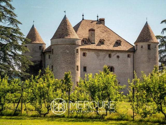 Prestigieux château en vente Bons en Chablais, Auvergne Rhône Alpes