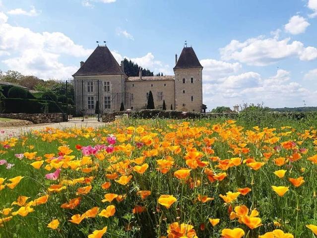 Prestigieux château en vente Casteljaloux, Nouvelle Aquitaine