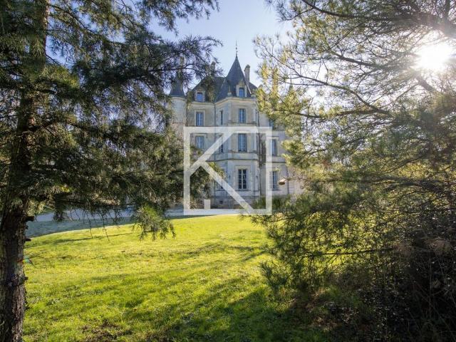 Prestigieux château en vente Chantonnay, France