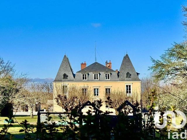 Prestigieux château en vente Châteauneuf la Forêt, France