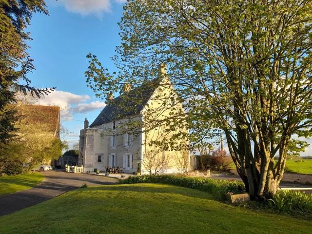 Prestigieux château de 405 m2 en vente Chef Boutonne, France