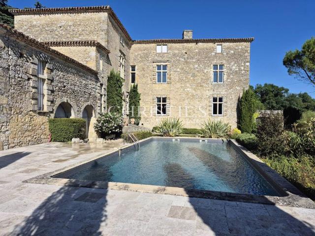 Prestigieux château en vente Condom, France