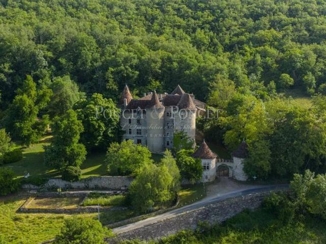 Prestigieux château en vente Figeac, Occitanie