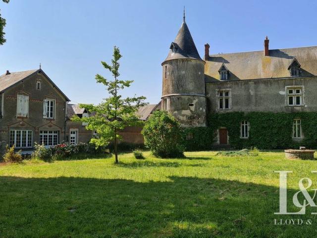 Prestigieux château en vente Pussay, Île de France