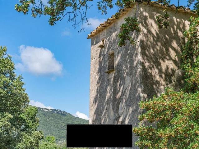 Prestigieux château en vente Quissac, France