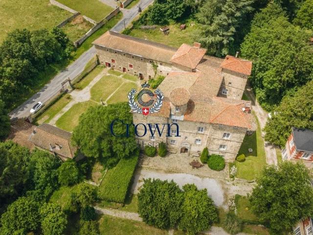 Prestigieux château en vente Saint Galmier, Auvergne Rhône Alpes