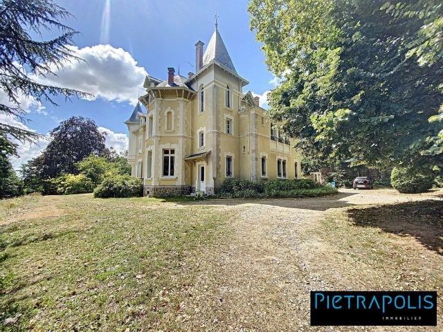 Prestigieux château en vente Saint Julien Molin Molette, France