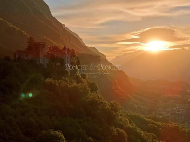 Prestigieux château en vente Saint Pierre d'Albigny, France