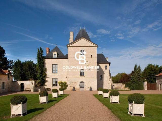 Prestigieux château en vente Tours, France