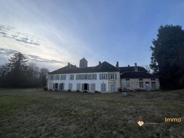 Prestigieux château en vente Ville sous la Ferté, Grand Est