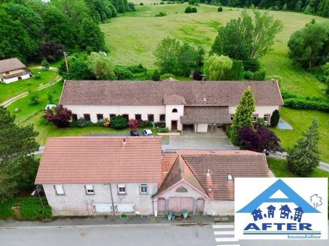 Prestigieux immeuble de rapport en vente à Granges sur Vologne, Grand Est