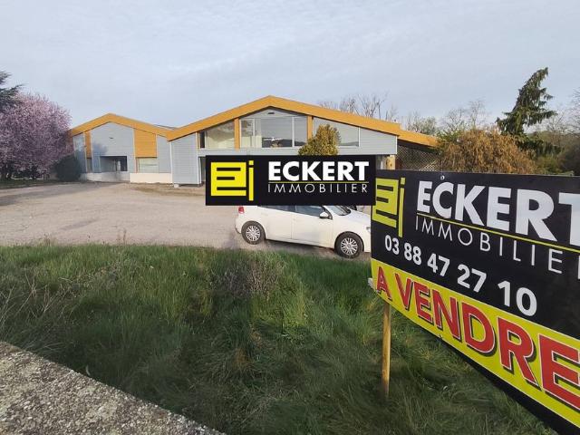 Prestigieux immeuble de rapport en vente à Odratzheim, France