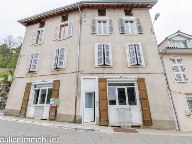 Prestigieux immeuble de rapport en vente à Vinay, Auvergne Rhône Alpes