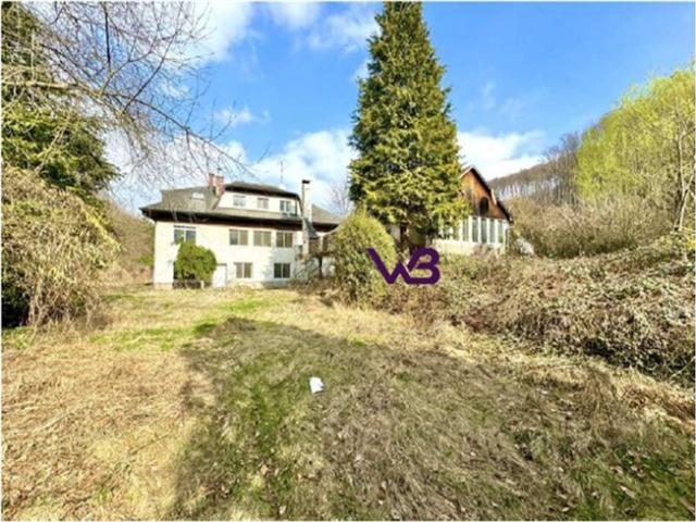 PRIVAT ODER BAUTRÄGER 2 Grundstücke mit 2.273 m² Grundfläche und einer 360m² großen Villa!