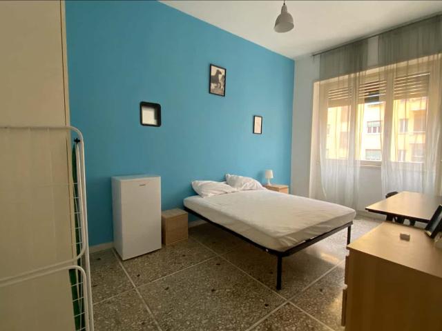 Private Room in Circonvallazione Nomentana