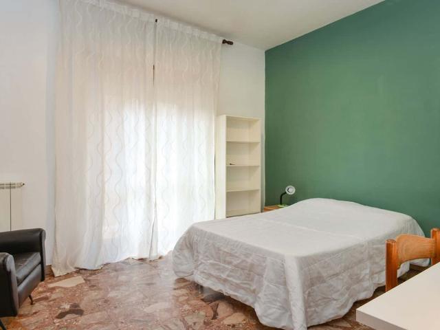 Private Room in Viale Leonardo da Vinci