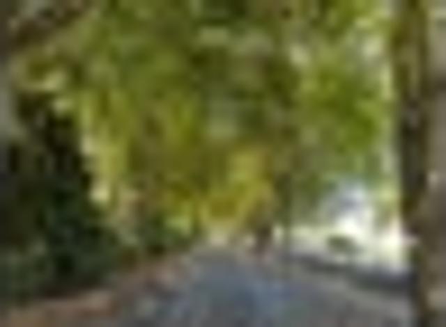 PRIVATE SALE Spacious, Secluded Haven $1,265000