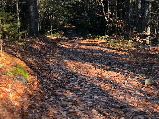 Private 2.6 Acre Property With Building