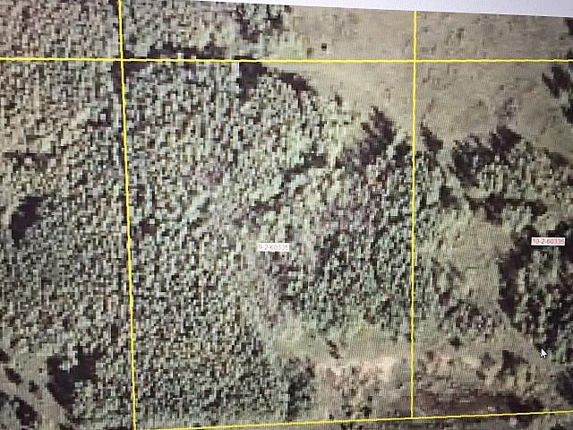Private 4.5 Acre Lot