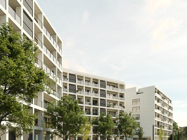 Privilege Gardens