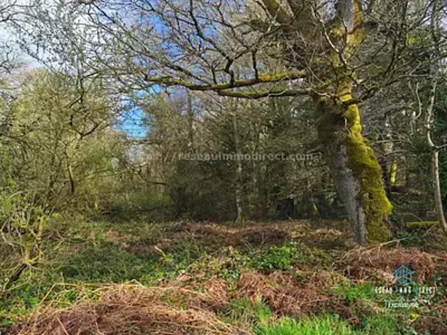 Priziac 56320 Achat / Vente terrain