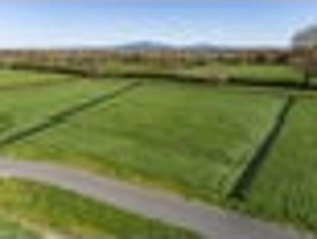 PRICE DROP Stunning Lifestyle Block, 3156m2