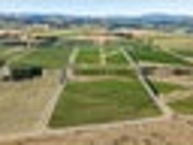 Price Reduced, Highly Motivated Vendors