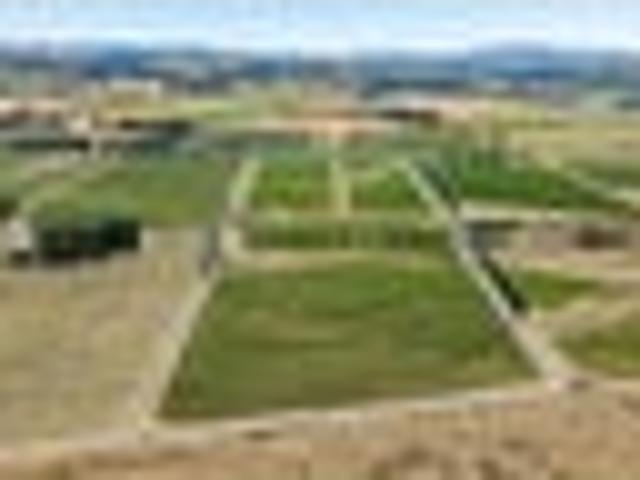 Price Reduced, Highly Motivated Vendors