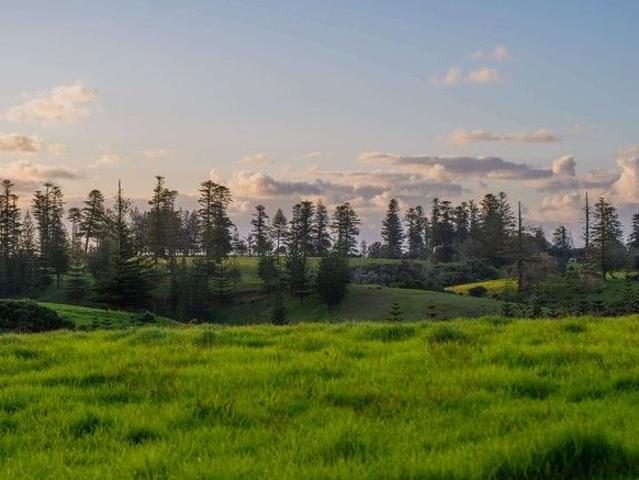 Price Reduction! Stunning Norfolk Island Rural Block for Sale