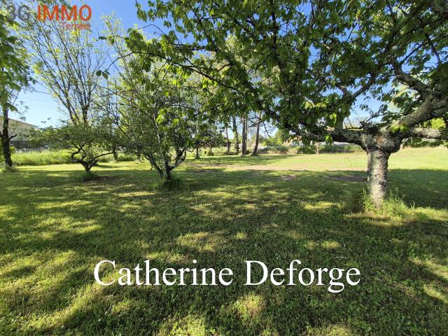Prignac et Marcamps Vente Terrain 33