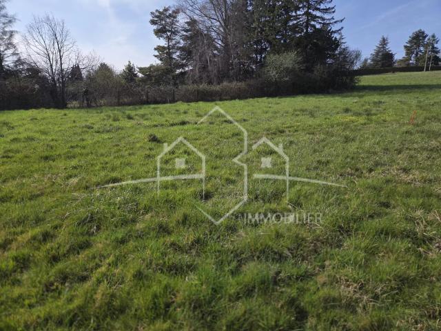 Primarette Vente Terrain 38