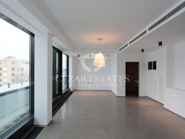 HERASTRAU SOSEAUA NORDULUI DUPLEX 4 CAMERE VEDERE PARC HERASTRAU