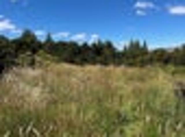 Prime 4025 sqm section in the heart of the.