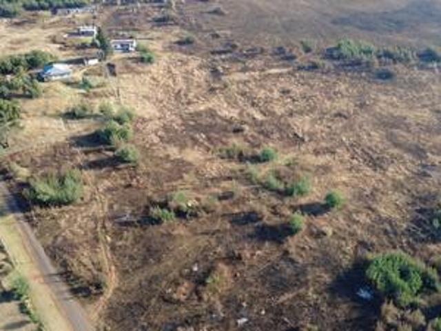 prime 42 hectare farm on the market.