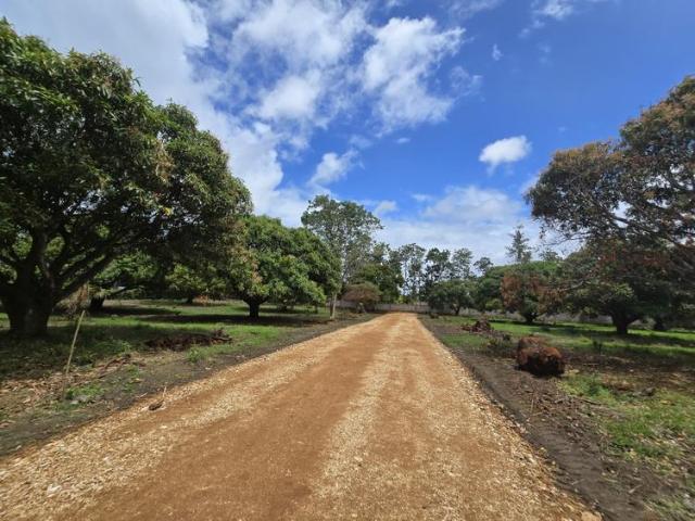 Prime 50 by 100 plot for sale in kilifi kikambala