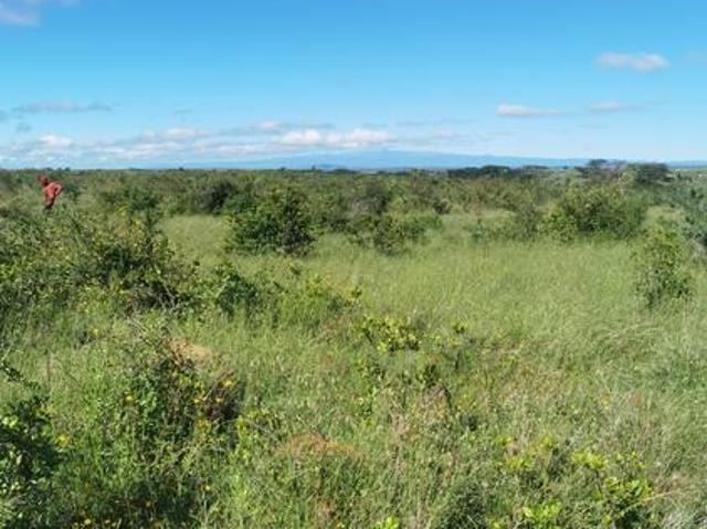 Prime 57 Acres In serene location