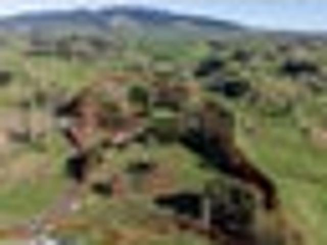 Prime 9 Hectare Opportunity!