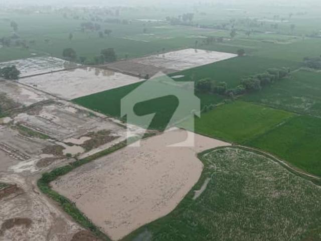 Prime 9 Kanal Corner Agricultural Land for Sale with 300 Feet Front Canal Expressway to Link Jhumra to Shahkot Road Near 2 KM Best for Petrol Pump