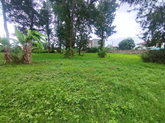 Prime 0.8 Acre Plot in Nyeri Mumbi Road