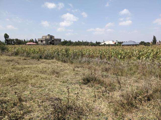 Prime 100 x 100 Plots for Sale – Manyatta Area