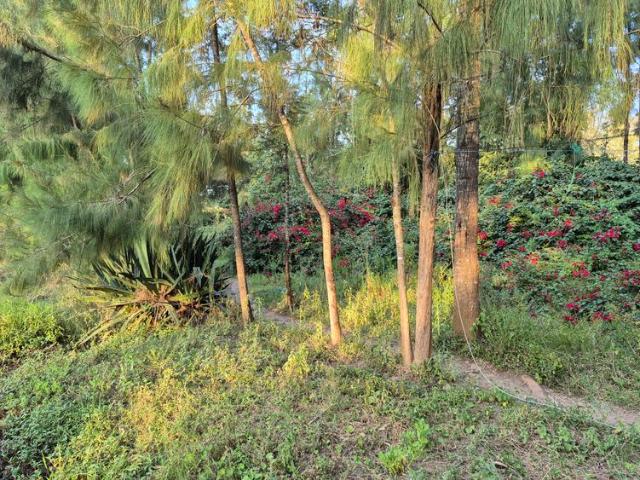 Prime 1/2 Acre Plot