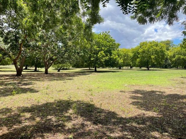 Prime 1/2 Acres VIpingo Ridge