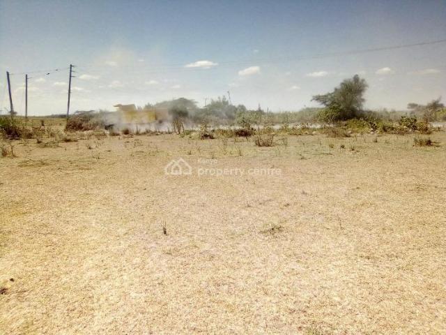 Prime 1/4 Acre Plots