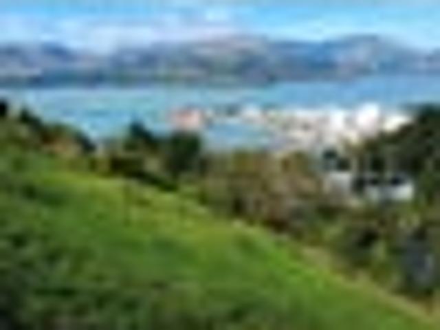 Prime 1,236sqm section with subdivision potential